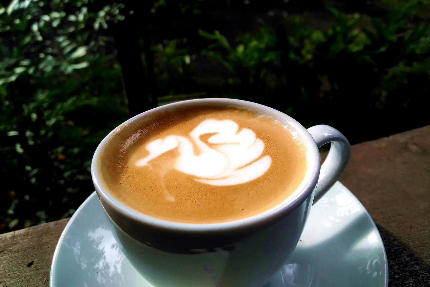 A cup of coffee with latte art